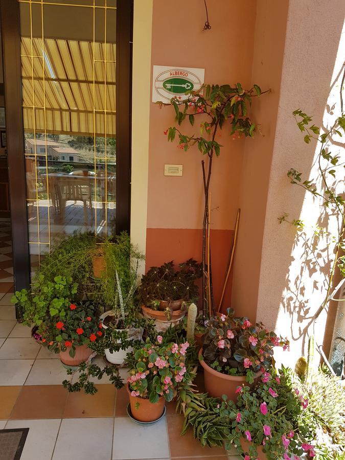 Hotel La Margherita Diano Marina Exterior photo